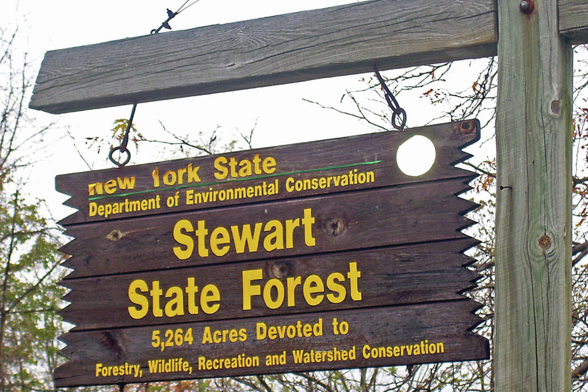 Stewart State Forest offers winter recreation, hunting season guidance for locals