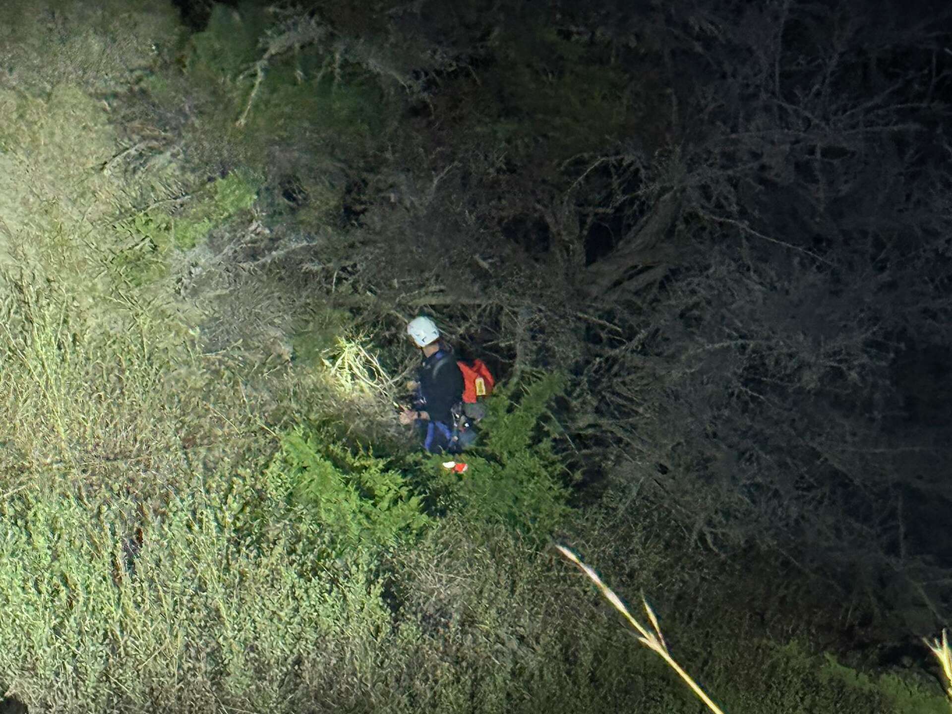 San Francisco firefighters rescue injured hiker from Presidio cliffs