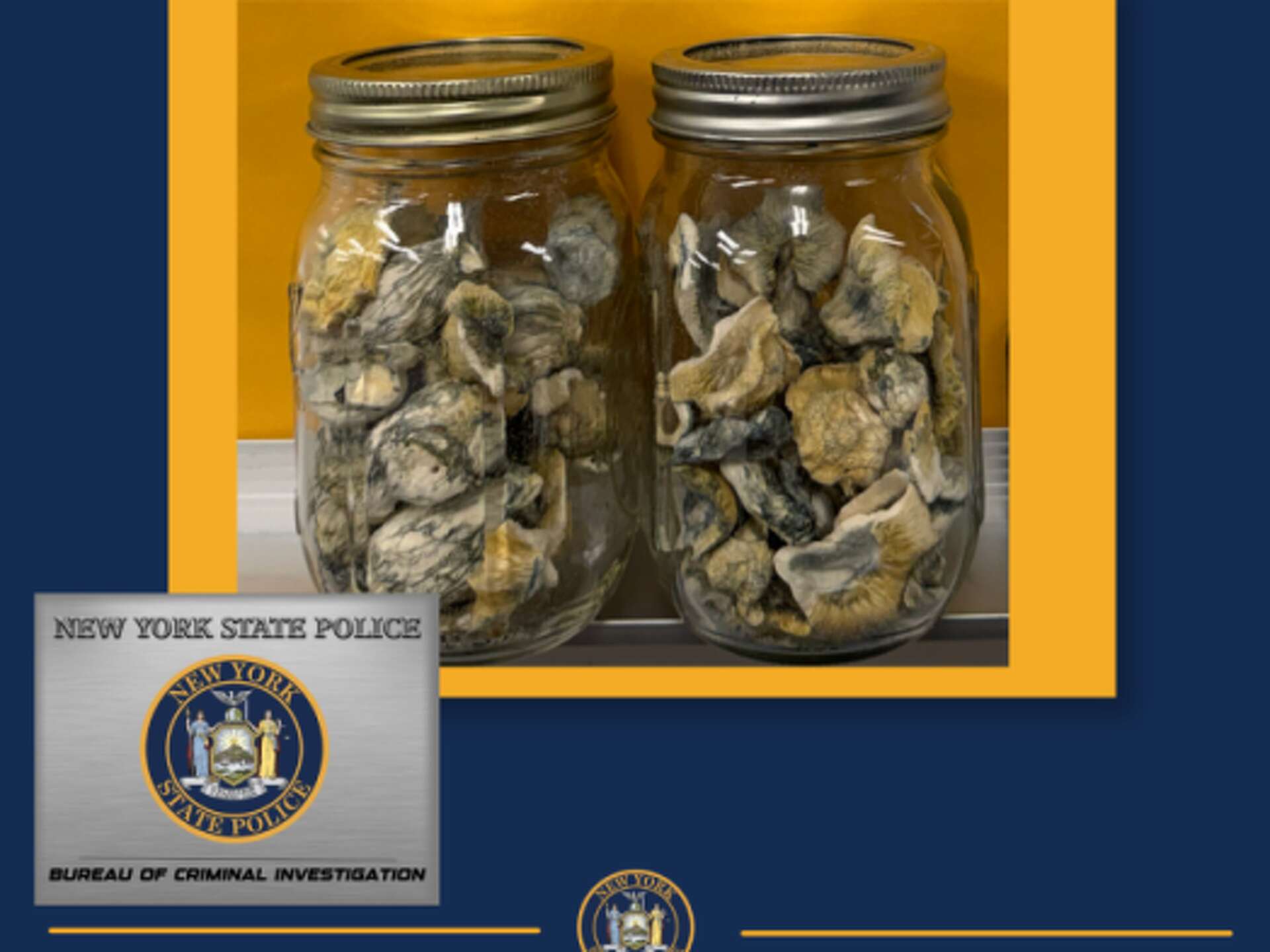 Lost hiker in Harriman State Park charged with hallucinogen possession