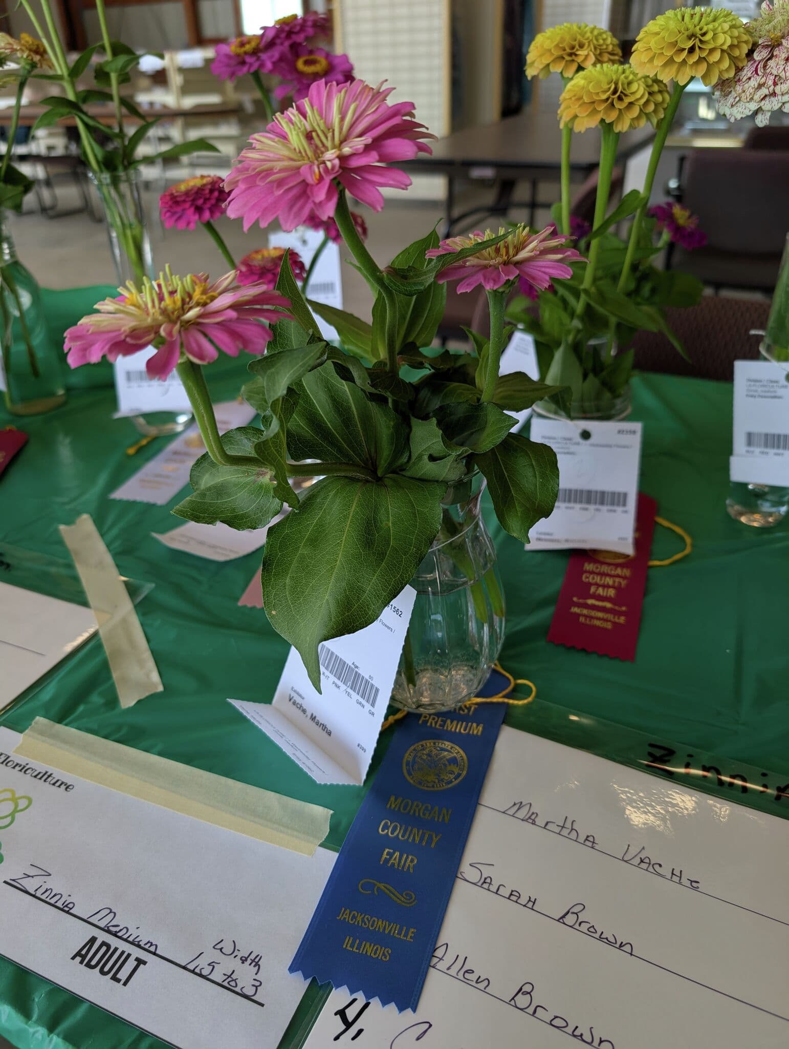 Morgan County Fair showcases adult projects beyond youth competitions