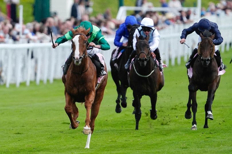 Benvenuto Cellini leads Chester Vase field in key Derby test