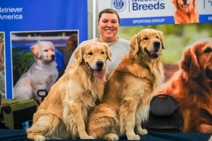 AKC Meet the Breeds at Javits Features Hundreds of Dogs Feb. 7-8
