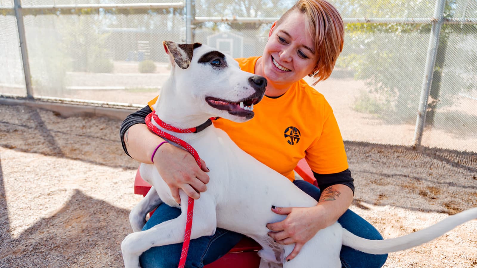 Bernalillo Museum’s Free Adoption Fair Draws Families, Promotes Pet Ownership