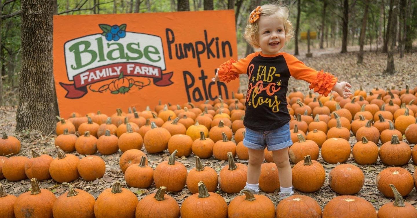 Blase Family Farm Remains Seasonal Hub for Rockwall Area Families