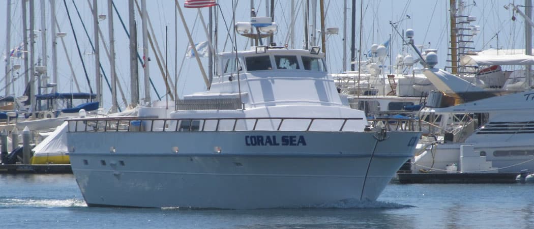 Coral Sea Now Booking 2026 Season with 3/4-Day and Overnight Tuna Charters