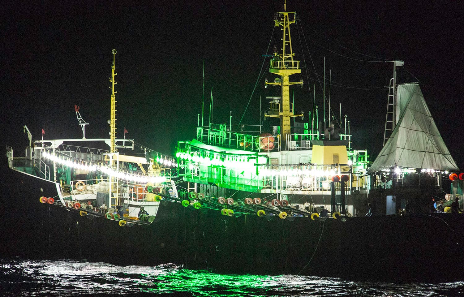 China's squid fishing boom deepens pressure on tuna stocks