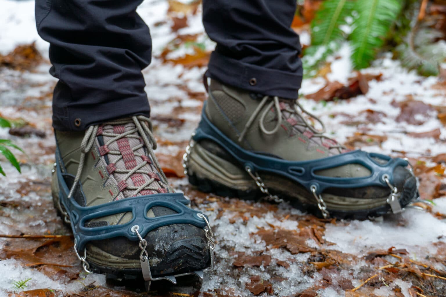 Winter Trails in Douglas County, Safety Tips and Best Routes