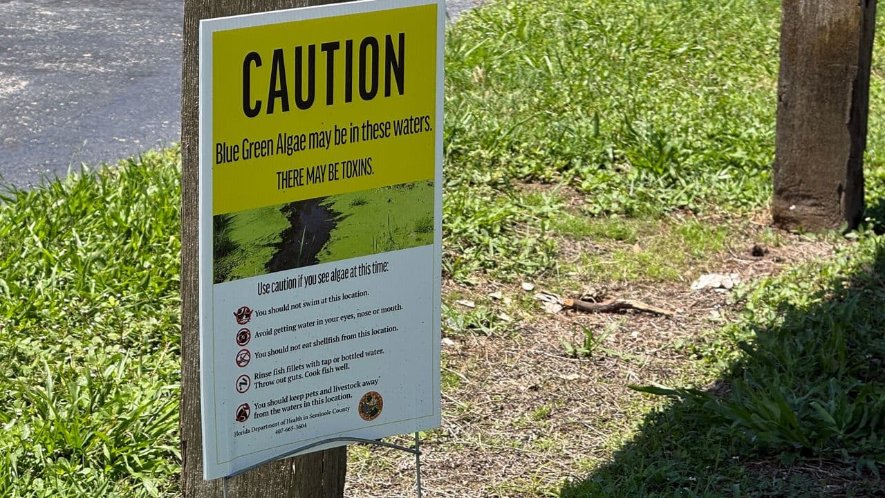 Seminole County issues algae toxin alerts for Lake Howell, Lake Jesup