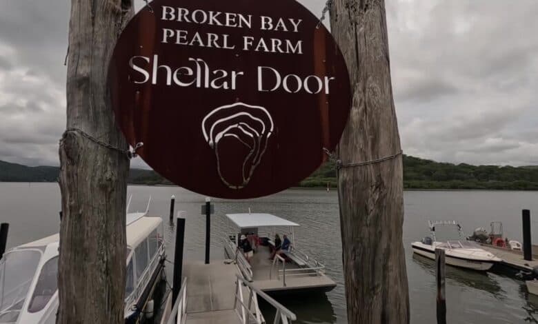 Broken Bay Pearl Farm Eyes Bumper Easter Sales After Difficult Years