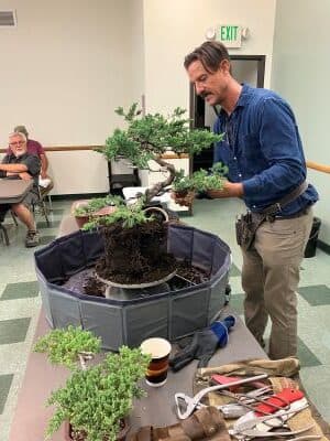 Santa Anita Bonsai Society Prepares for 59th Annual Memorial Weekend Show
