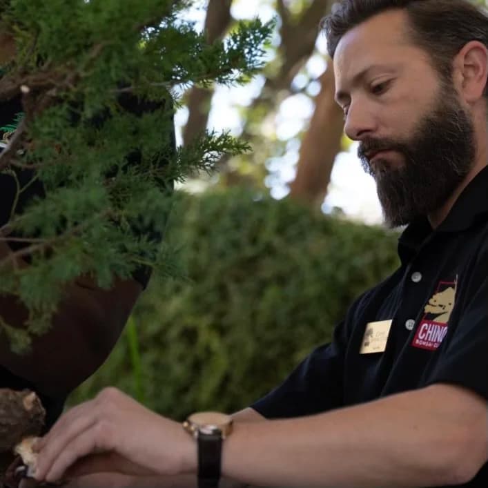 Santa Anita Bonsai Society mourns Al Nelson, previews Ryan Pitts demo