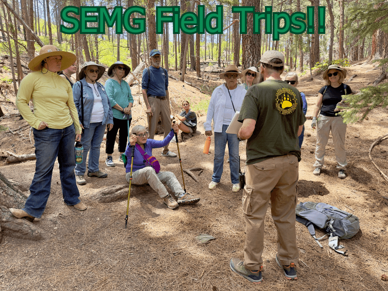 Master Gardeners Strengthen Food Security and Community Resilience in Sandoval County