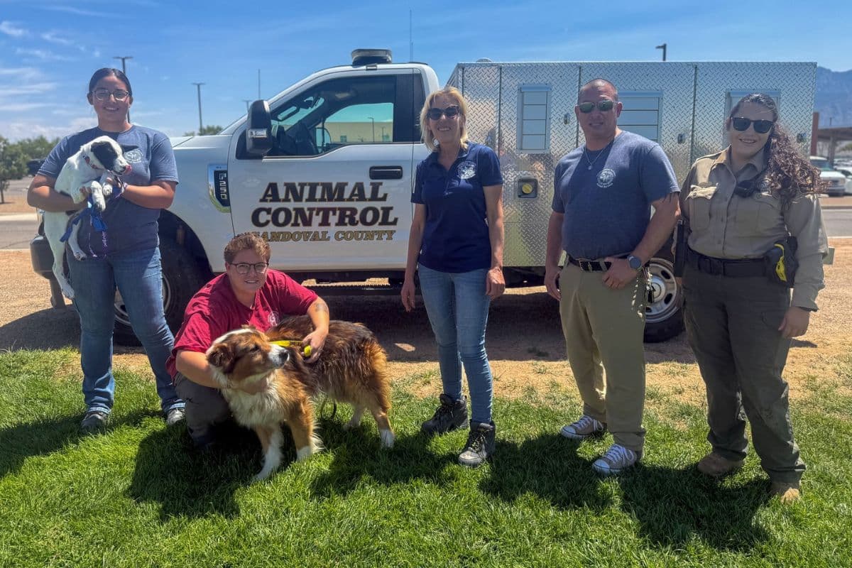 Sandoval County breaks ground on $8.74 million Animal Resource Center near Bernalillo