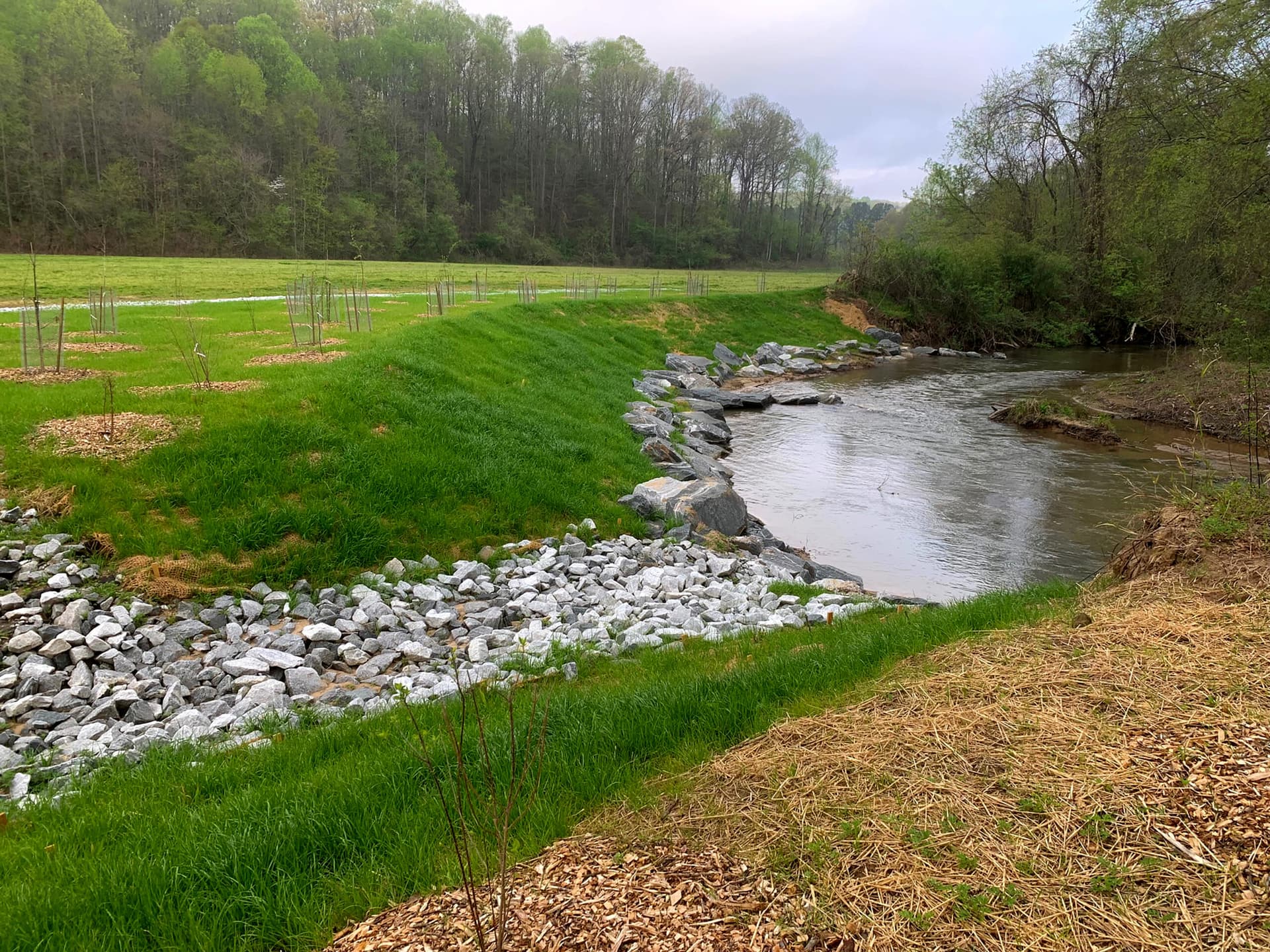 Bamberg Conservation District guides local land and water stewardship