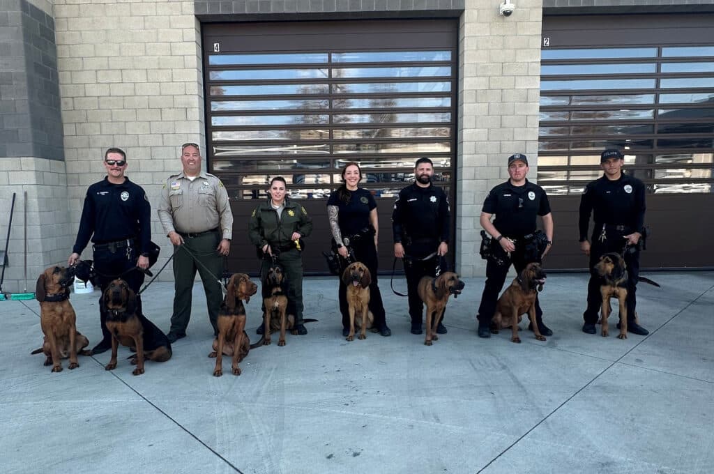 Yonkers Police Mourn Cali, Department's First Bloodhound K-9, After Decade of Service