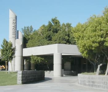 Mesa Public Library offers free sourdough starter class for beginners