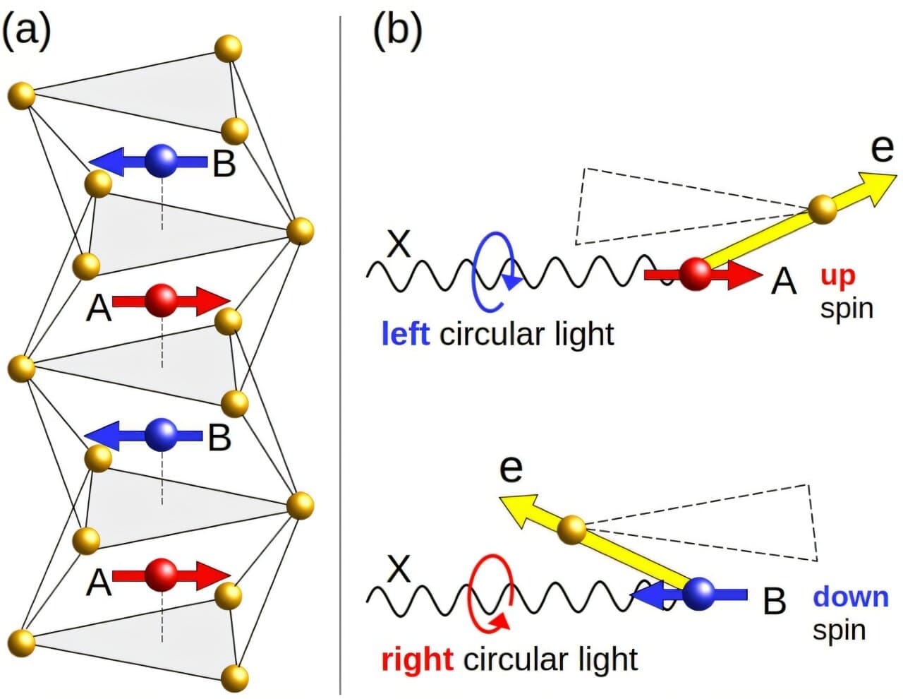 Naval Research Laboratory Uses Neutron Scattering to Clarify Altermagnet Magnetism