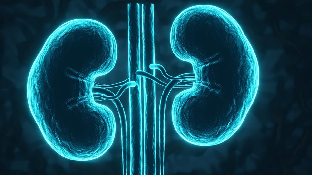 Lower Protein Intake Linked to Lower Dialysis Risk in CKD Study