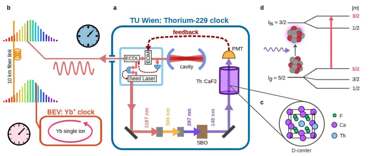 Thorium-229 nuclear clocks achieve breakthrough precision in laser tests
