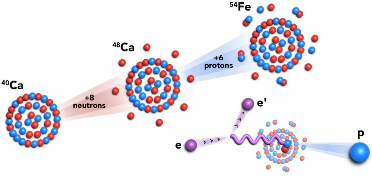Jefferson Lab finds nuclear shell structure shapes proton-neutron pairing