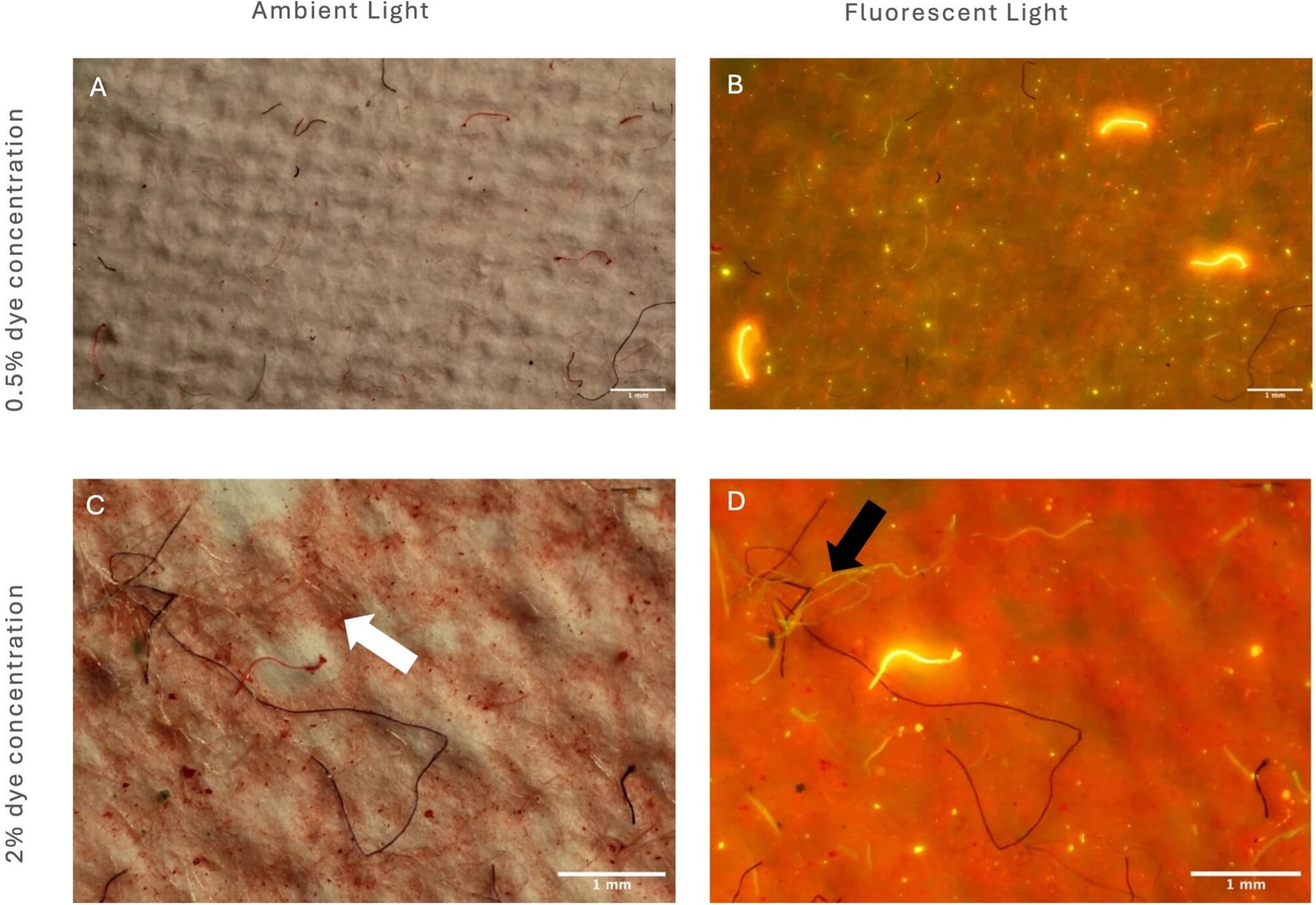 New dyeing method reveals hidden microfiber pollution in textiles