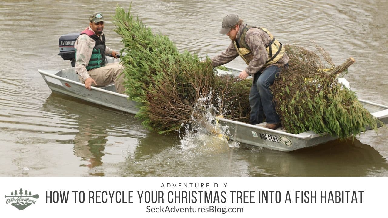 Kentucky Christmas Tree Recycling program boosts fish habitat, benefits Perry County