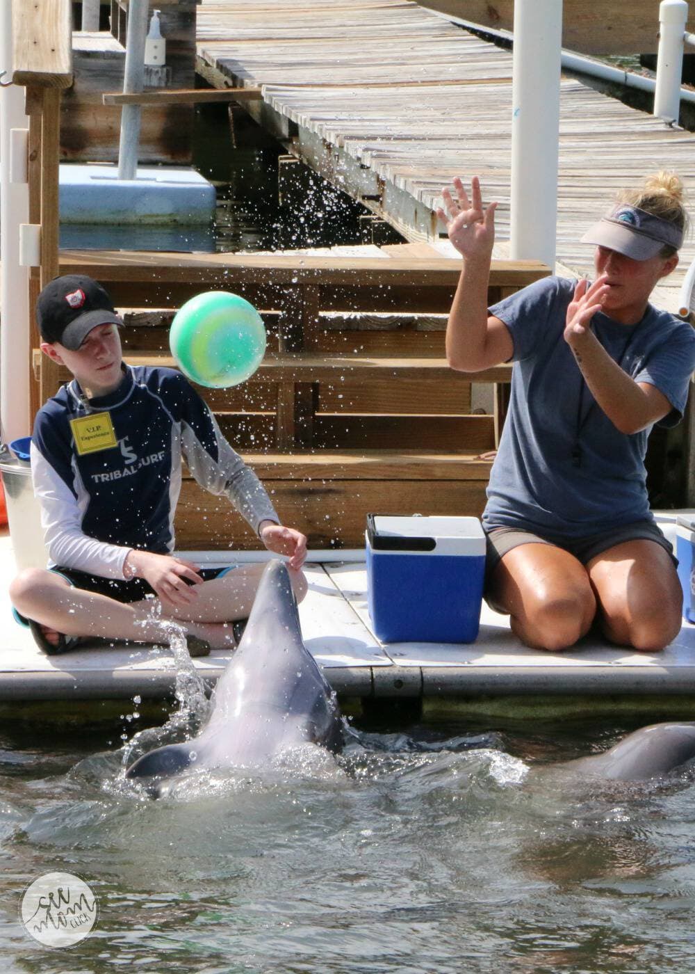 Dolphin Research Center Debuts Monthly After-hours Dolphin Sunset Celebration With Intimate Interactions