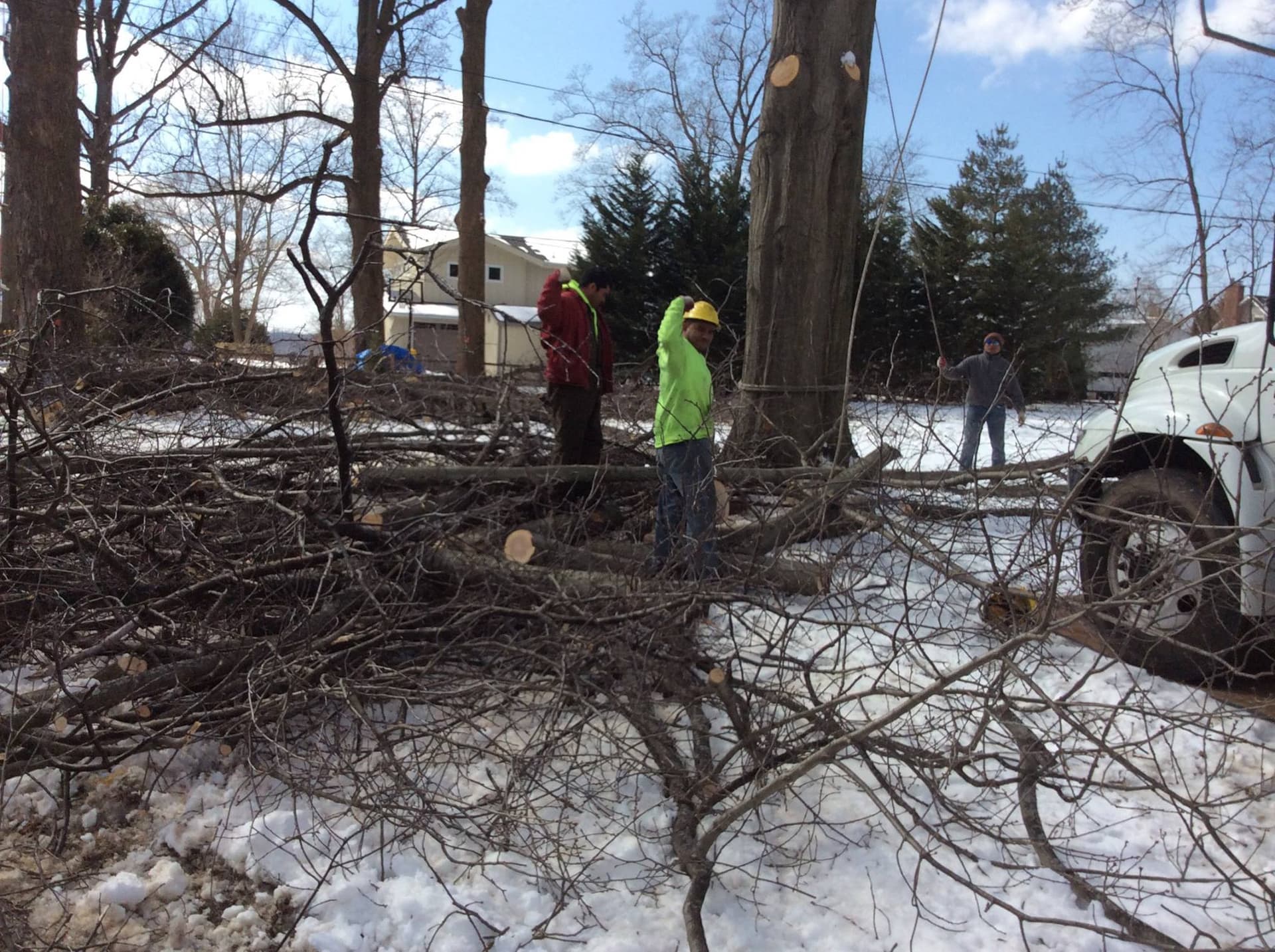 Tree falls on Syracuse home, no injuries reported in Valley neighborhood