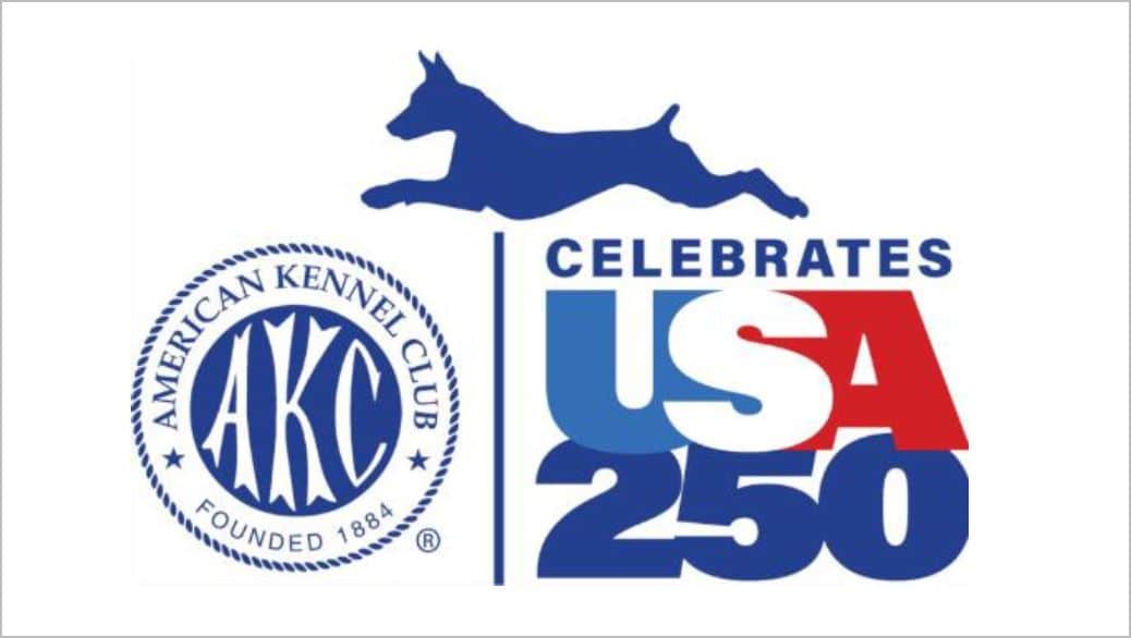 AKC USA 250 draws crowds to free dog sports festival in Philadelphia