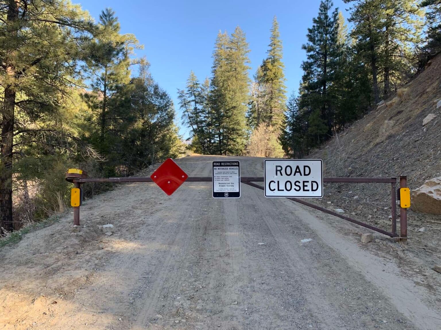 Opinion: Oppose Rescinding Roadless Rule on Nat'l Forests