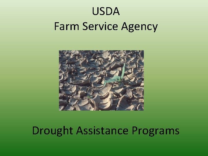 USDA declares drought emergency for Las Animas County farm aid