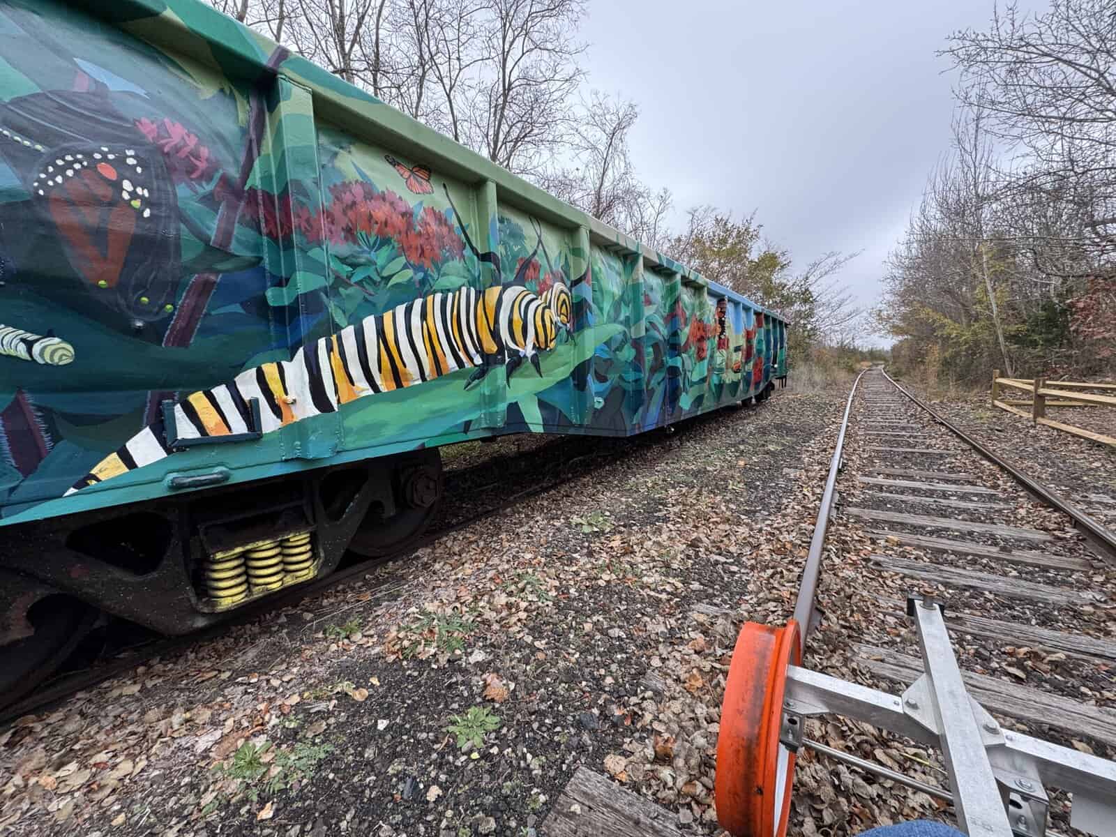 Rail bike tours bring inclusive outdoor recreation, nature and art to Cape May