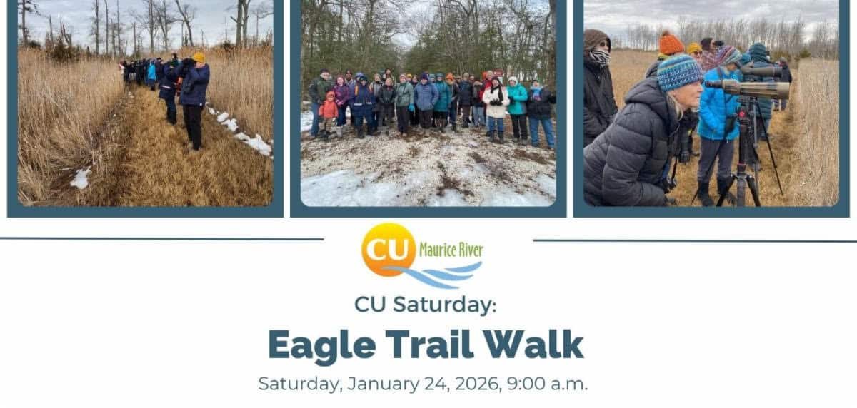CU Maurice River Hosts Jan. 24 Eagle Trail Walk, Bayshore Soup Fundraiser