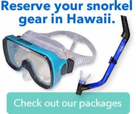 Snorkel Bob’s opens Waikōloa Queens’ Marketplace store offering snorkel gear rentals