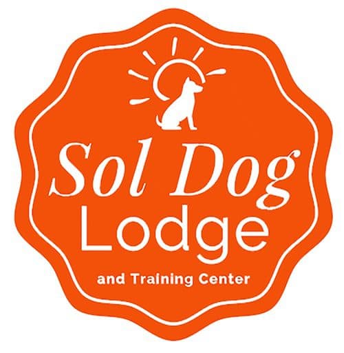 Tucson nonprofit pairs puppy yoga with canine first aid, summer camp