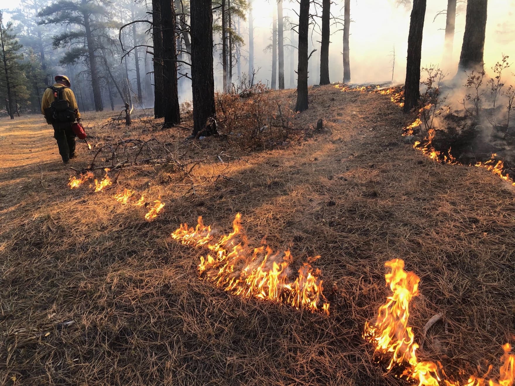 New Mexico Fire Restrictions Take Effect, Banning Open Flames Statewide