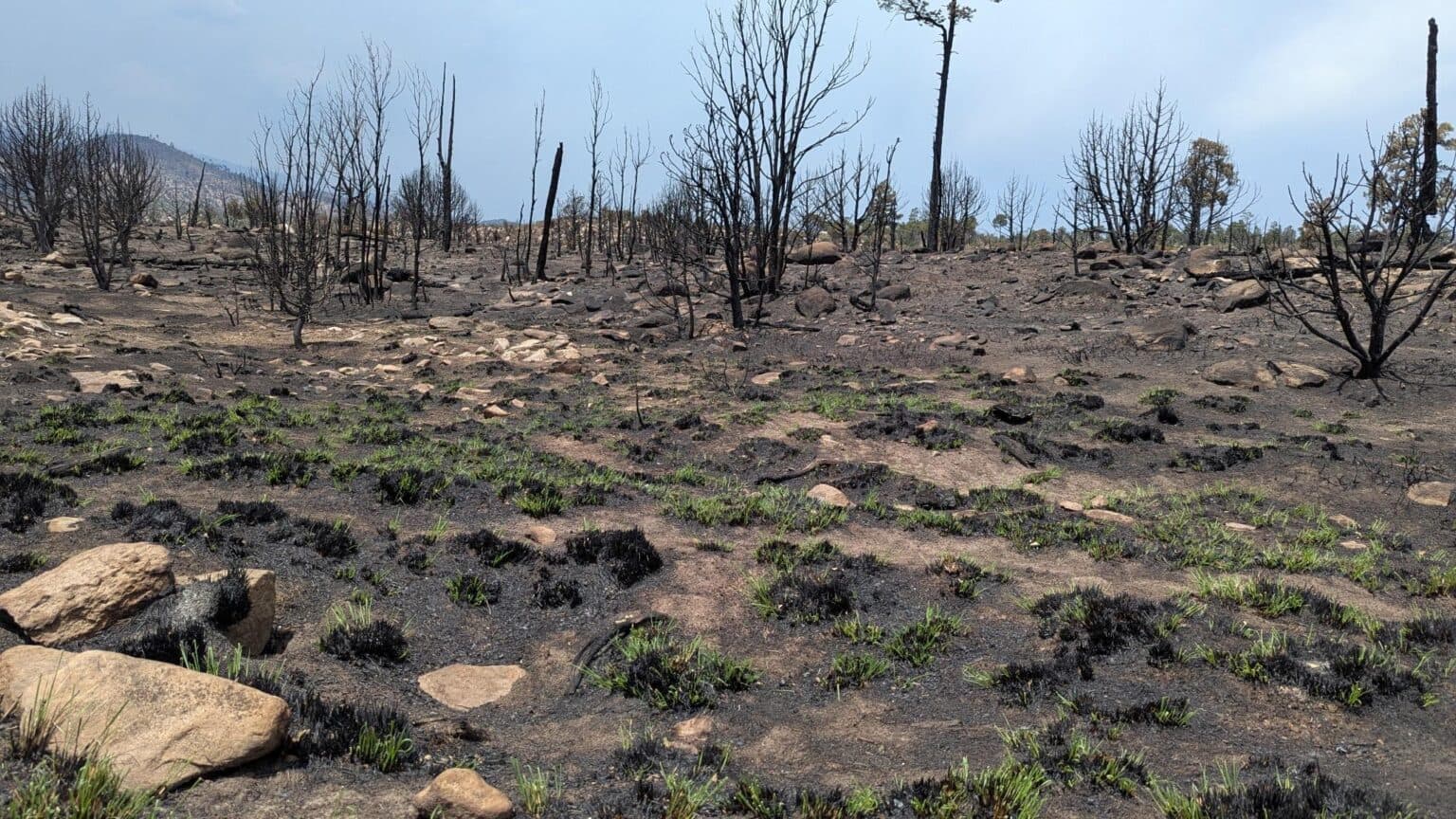 Mud Springs Fire burns 41 acres south of Virden, now contained