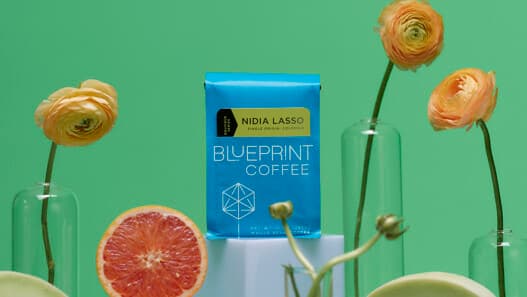 Roatán coffee destination blends roasting, tourism and origin education