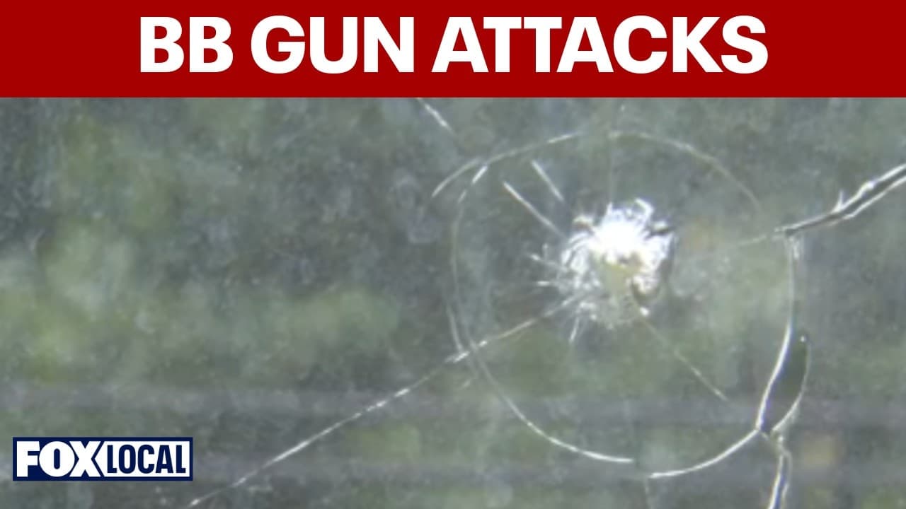 Laurel homeowner says BB shots damaged house after flag display