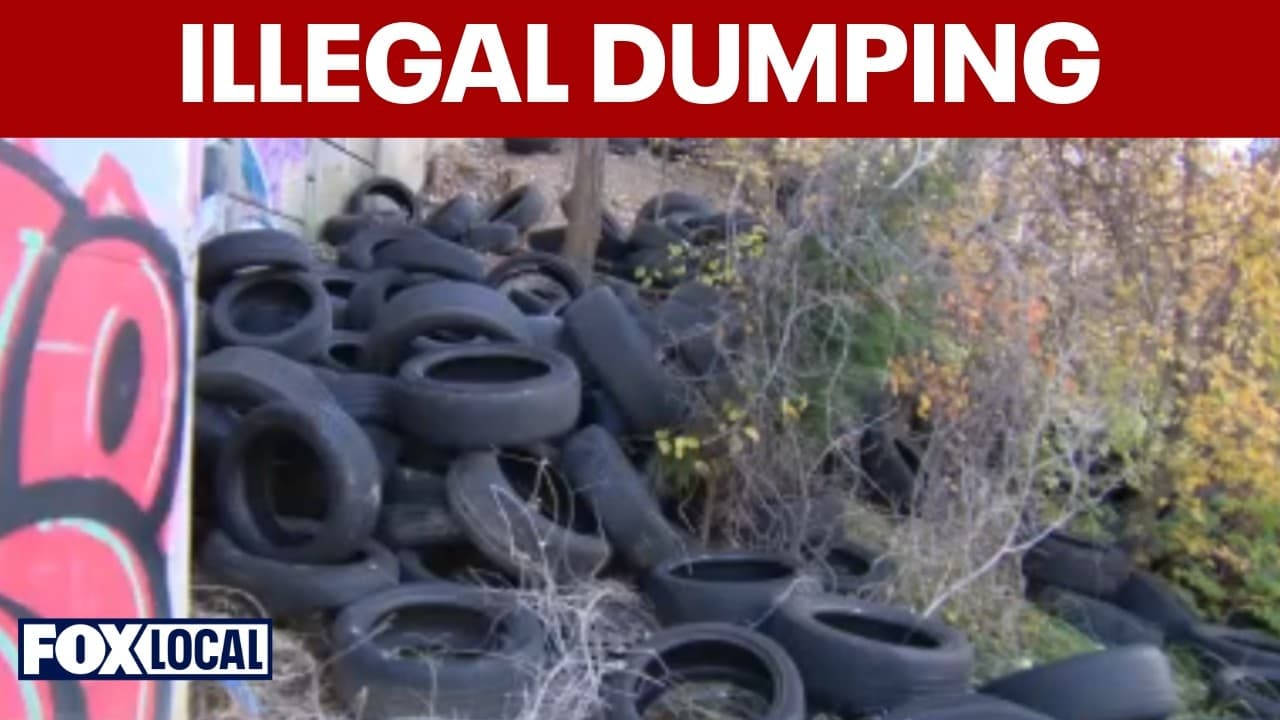 Prince George's County creates task force to fight illegal dumping