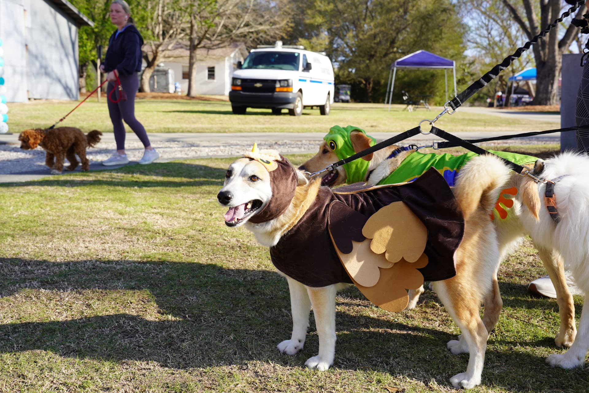Auburn's Free Bark in the Park Event Promotes Responsible Dog Ownership March 28