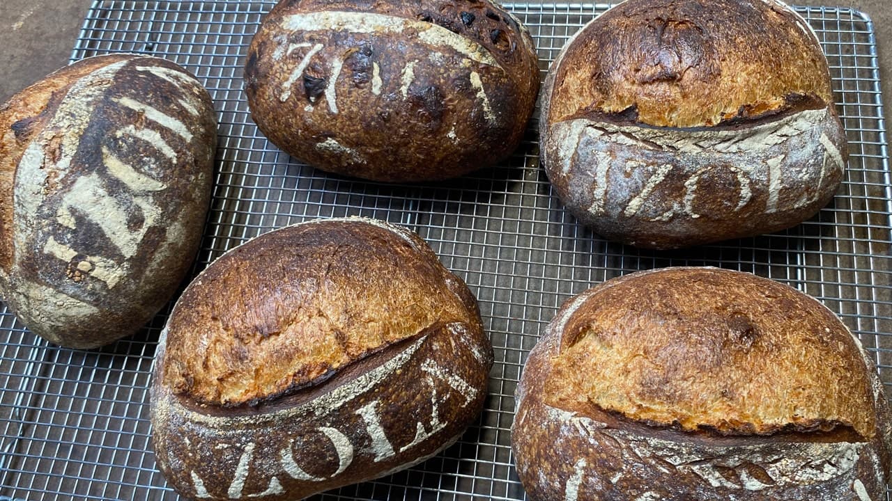 MSN Teases Sourdough Recipe Video Ahead of National Sourdough Day