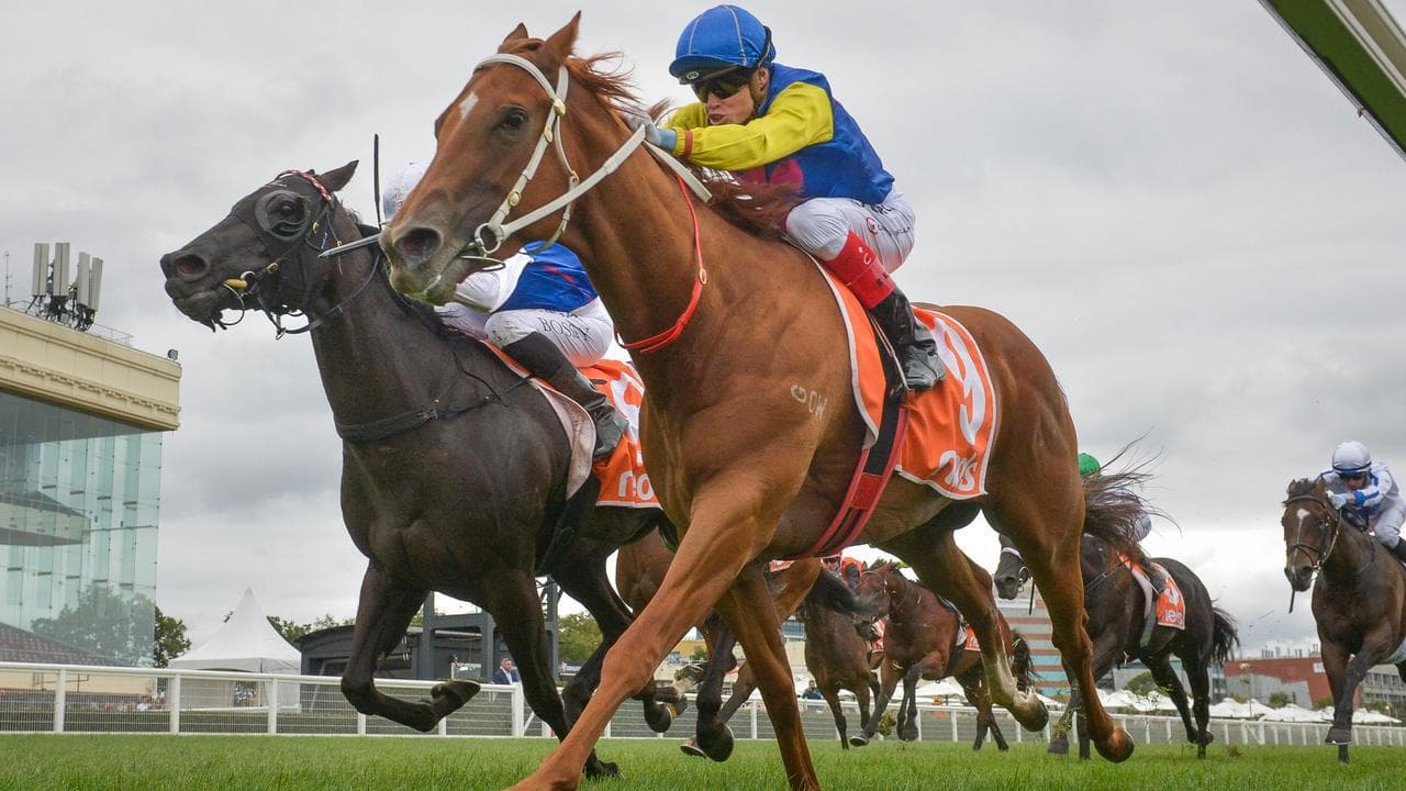 Tropicus Delivers for Freedman with Oakleigh Plate Win at Caulfield