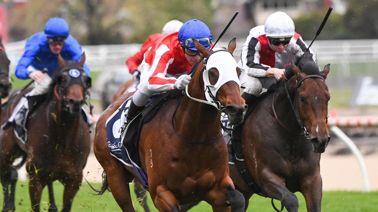 Birdman Wins Peter Young Stakes, Australian Cup Now in Sights