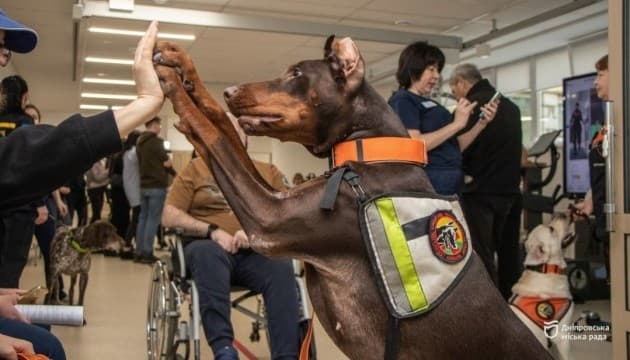 Hanna, Ukraine's Heroic Search-and-Rescue Doberman, Dies After Saving 170 People