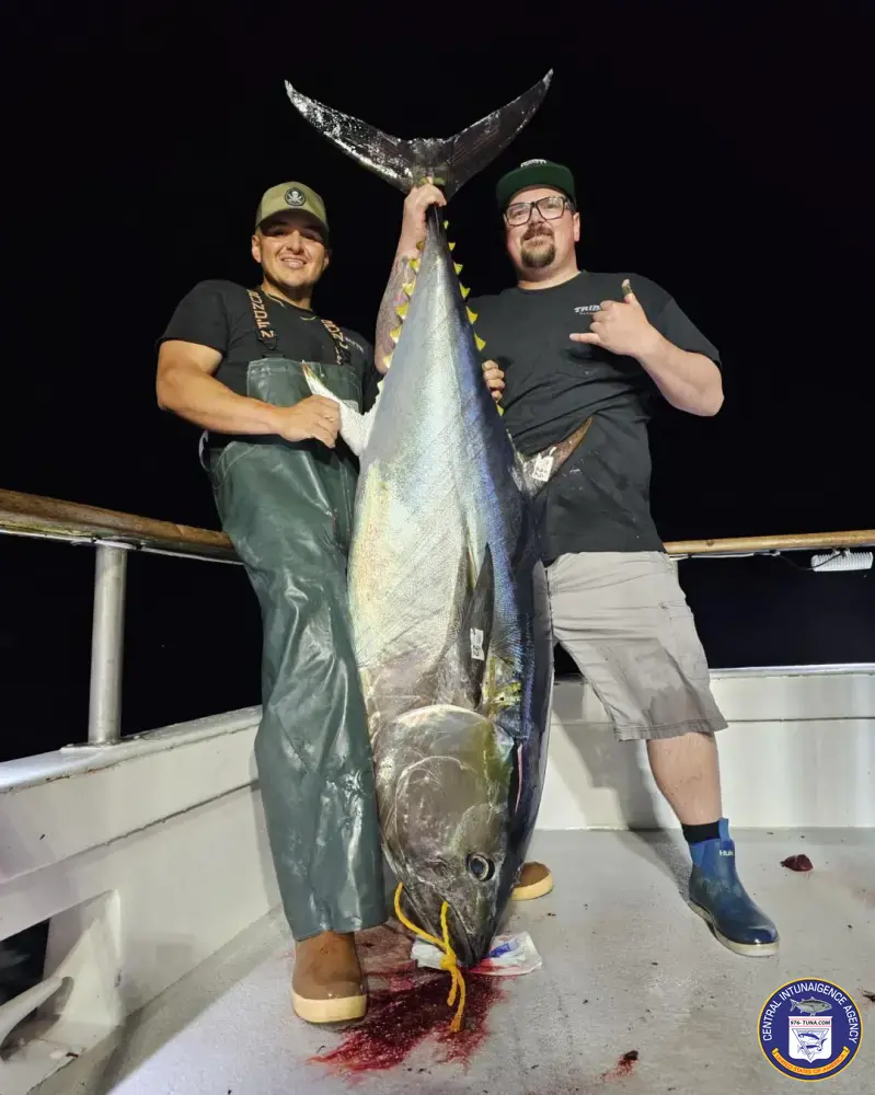 Tuna Fishing Year-Round: Species, Seasons, Tackle, Techniques, Hotspots, Safety