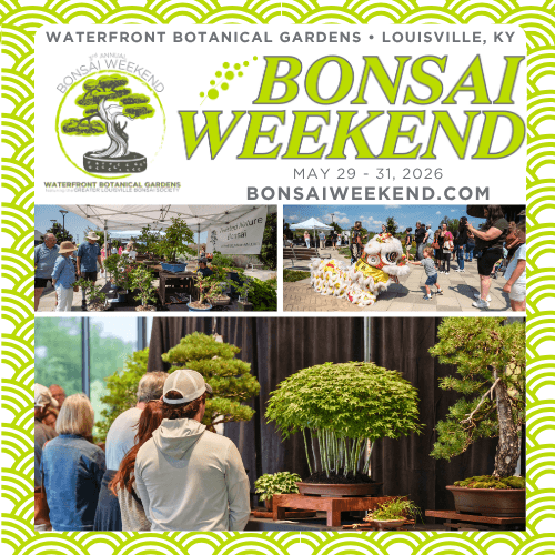 Louisville’s Bonsai Weekend Brings Displays, Workshops, and Community to Waterfront Botanical Gardens