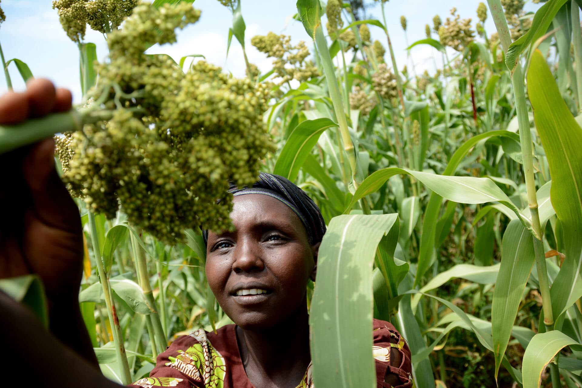 Donors Pledge Over $142 Million to Scale CGIAR Climate Research