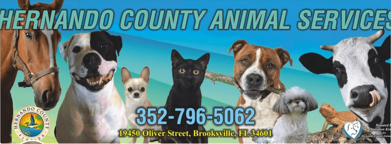 Sheriff’s Office Marks Year of Reduced Shelter Population, Higher Live Releases