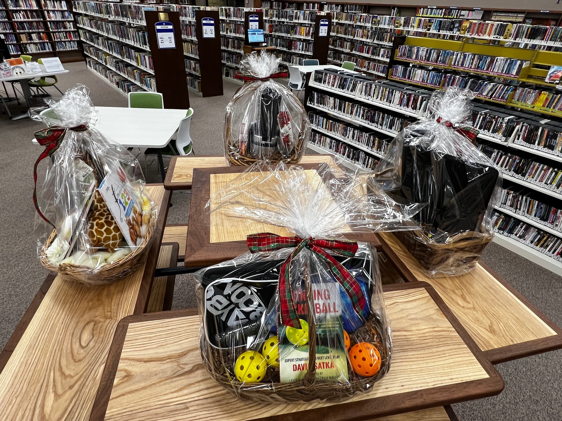 Library Fundraiser Raises Funds, Aims to Improve Children Services